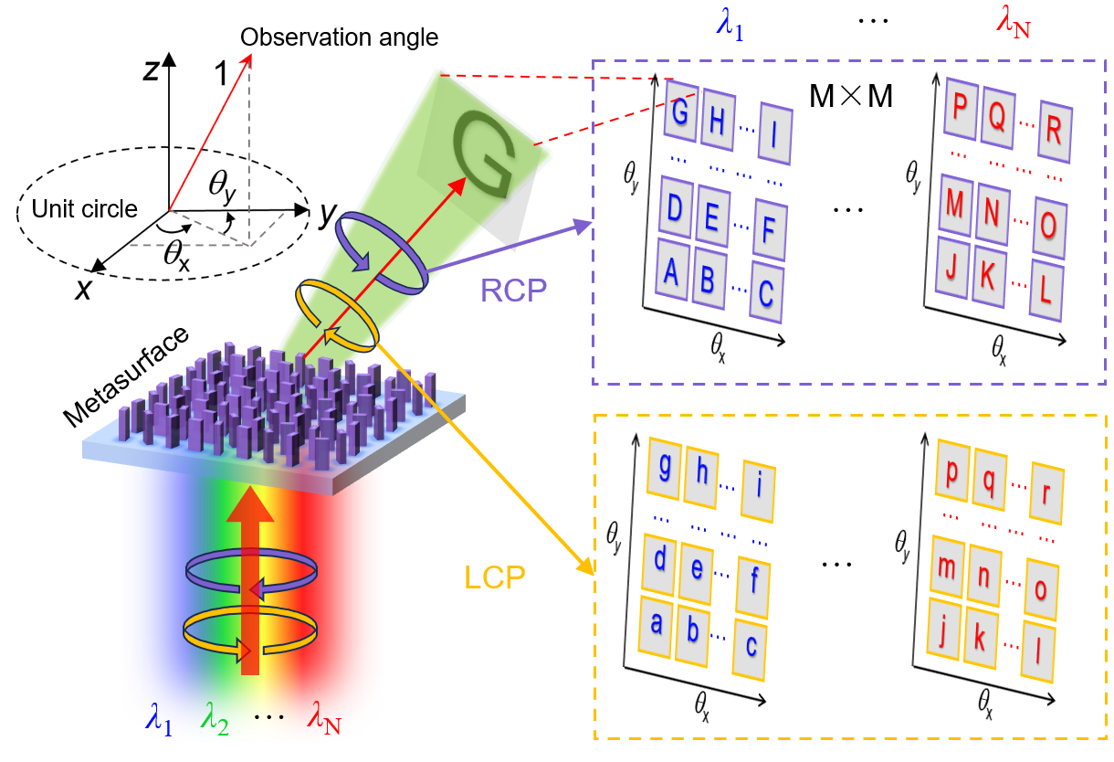 单个超构表面实现平面波全光参量(波长、偏振、观察角度)复用示意图 配图1