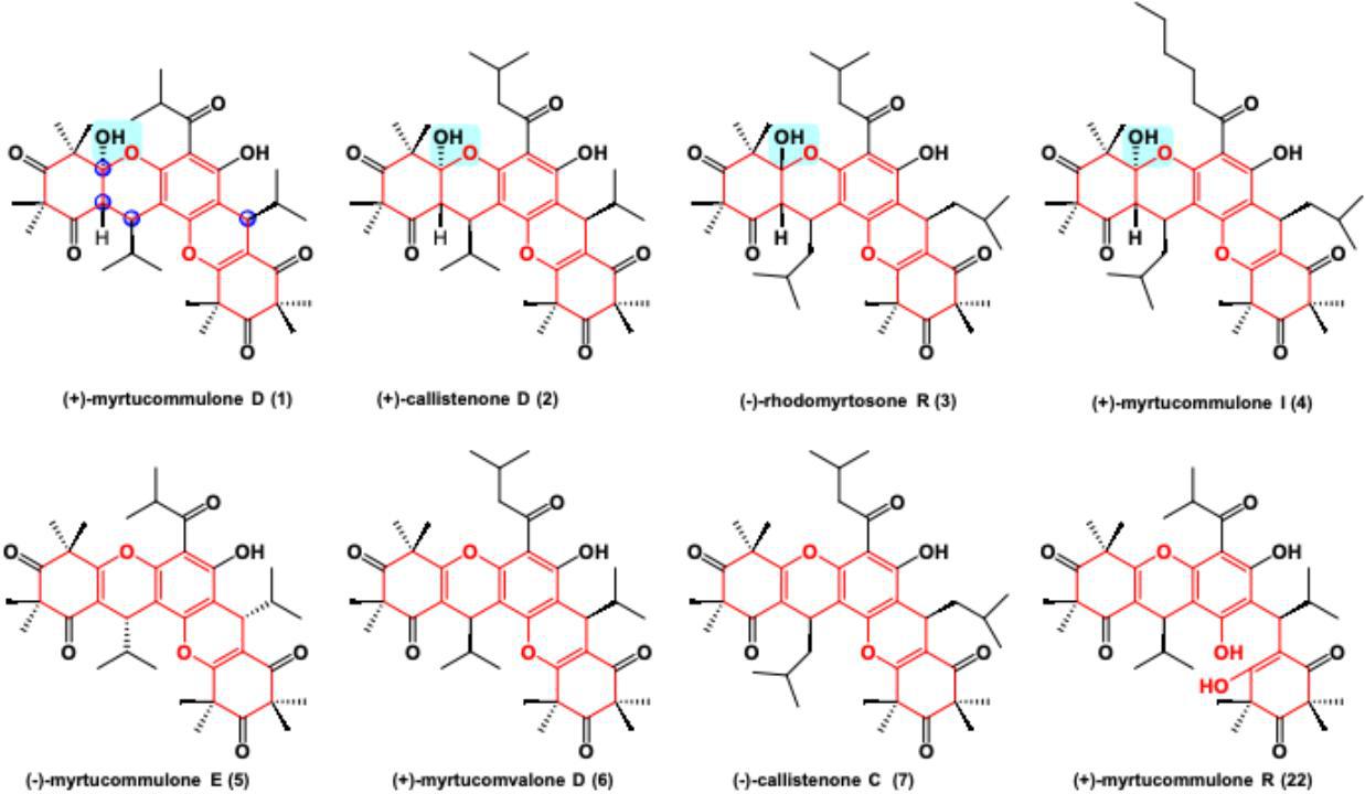 (图 1.氧杂蒽类天然产物的化学结构。) 配图2