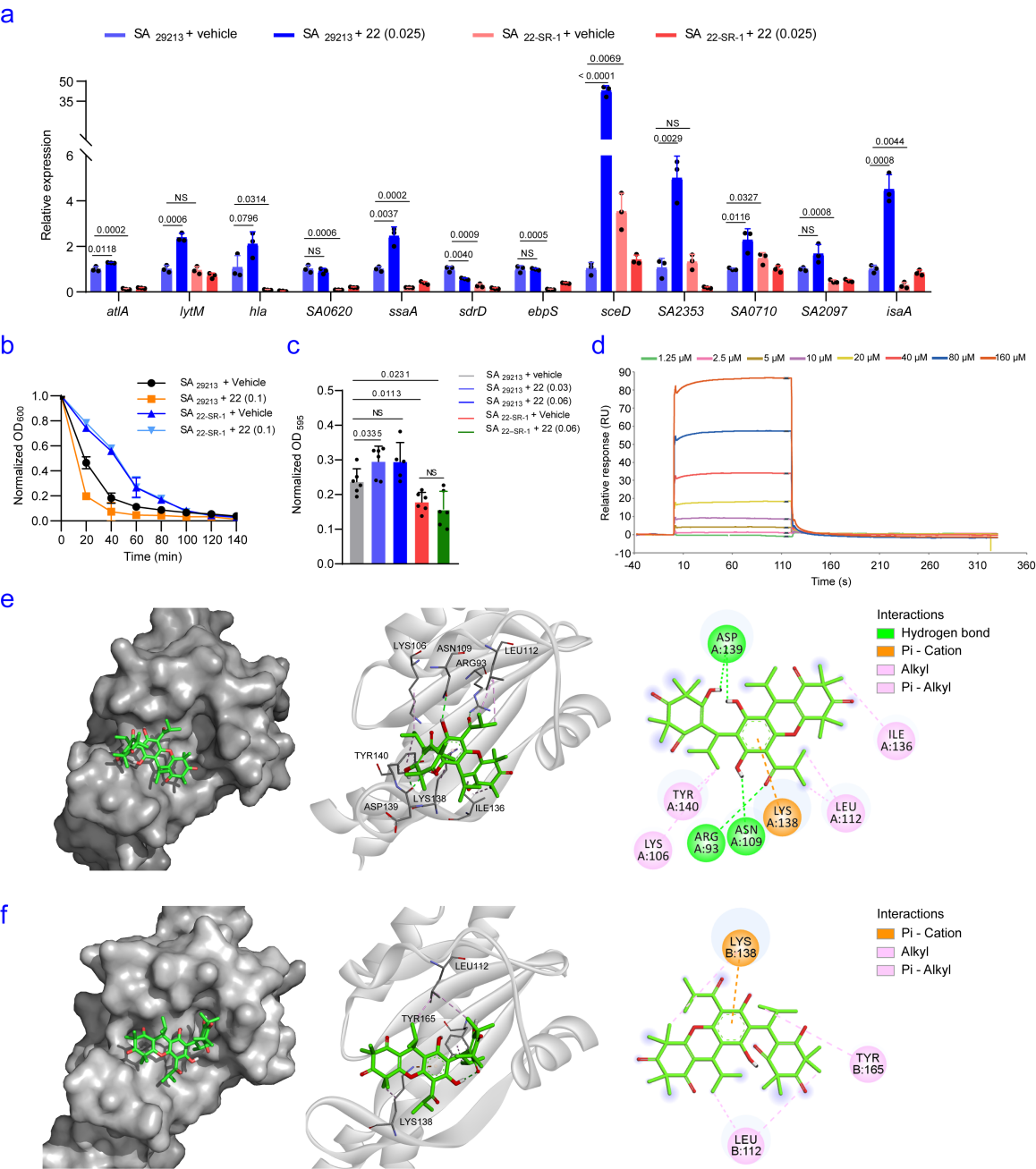 (图 2.化合物 (+)-22的抗菌作用机制。) 配图3
