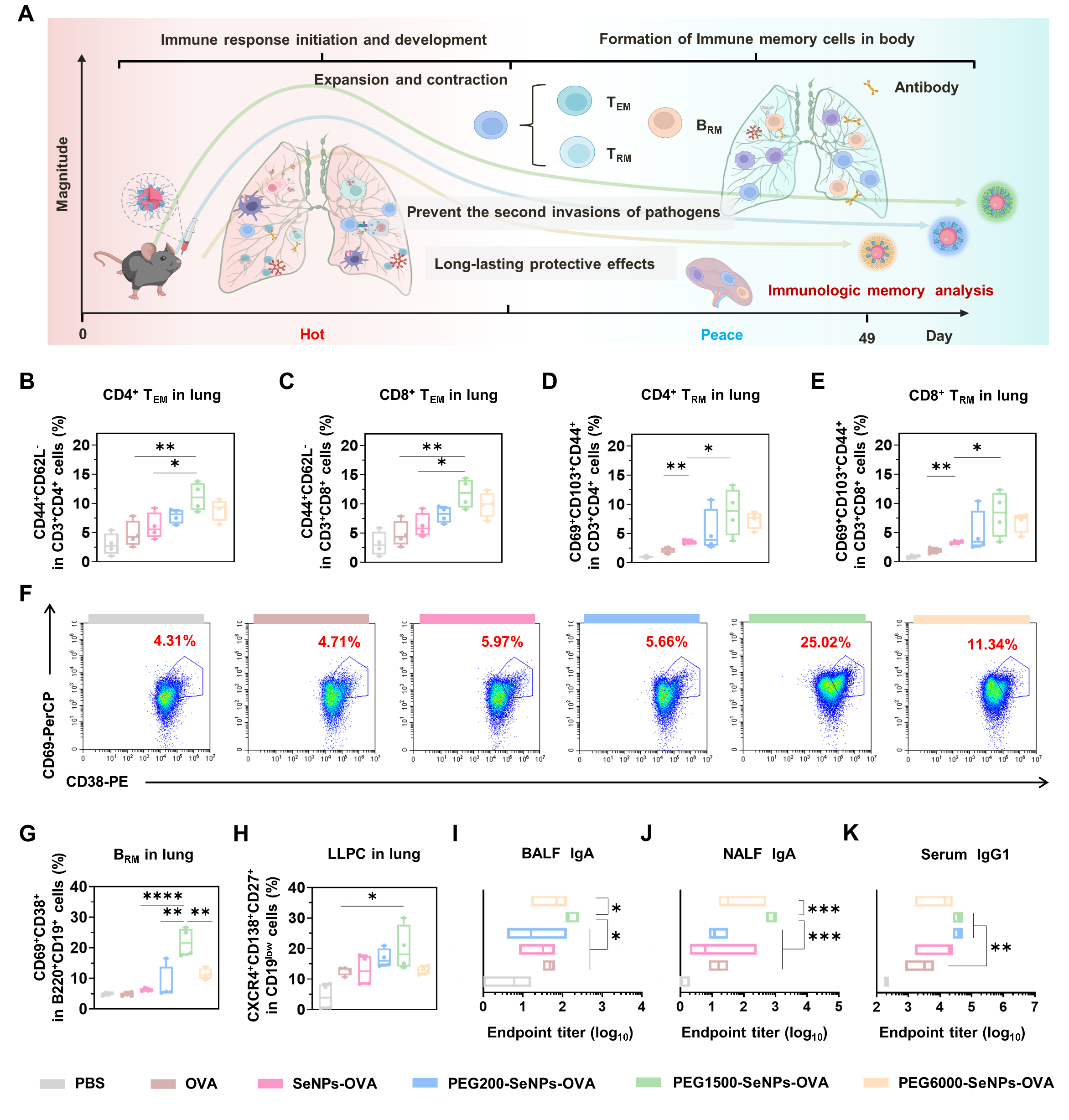 图2表面化学精准调控赋能纳米硒佐剂疫苗诱导强效黏膜免疫和免疫记忆效应