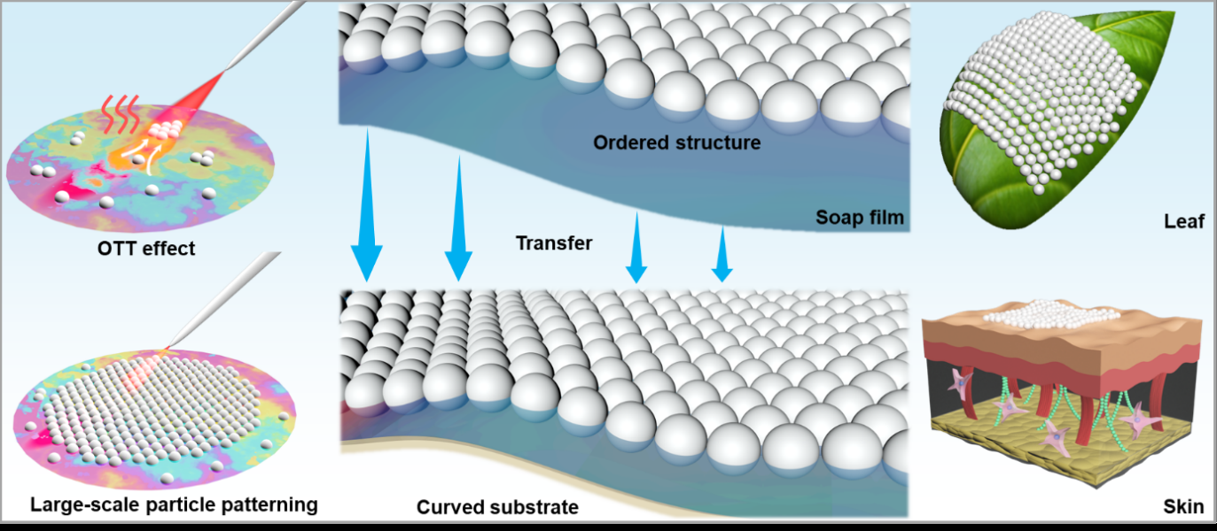 (光/热/张力耦合的单颗粒精度大规模颗粒操控与组装及图案化示意图) 配图1