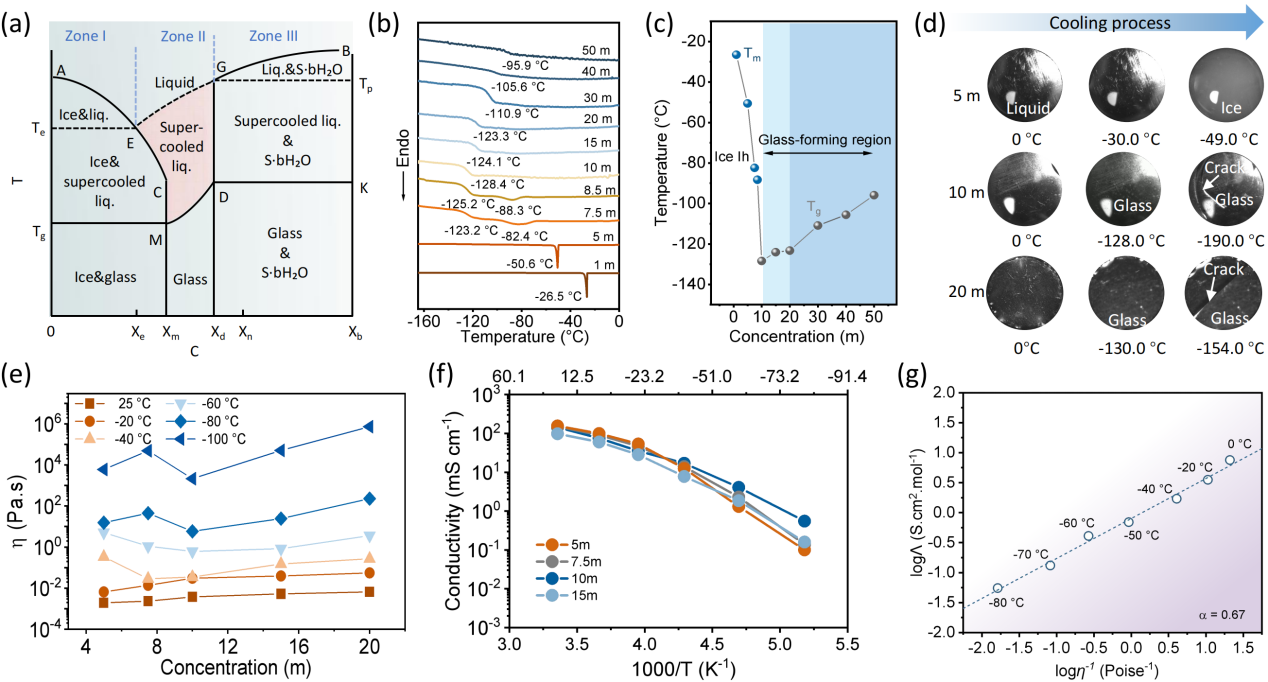 图1.不同浓度CsAc盐水系统的热力学及变温下动力学性质探究 配图2